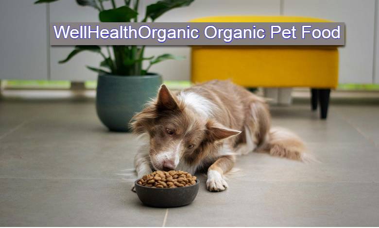 The Key Benefits of WellHealthOrganic Organic Pet Food