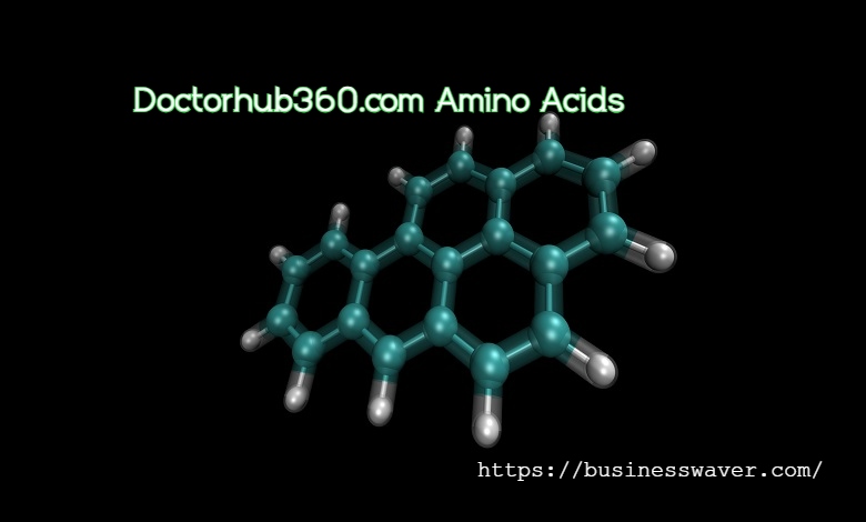 Doctorhub360.com Amino Acids: How These Vital Nutrients Shape Brain Health