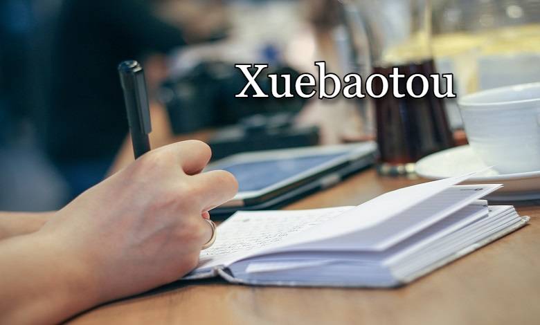 Xuebaotou: The Beloved Study Buddy Students Can’t Ignore